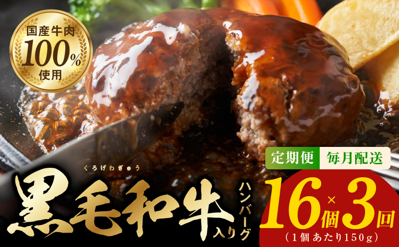 G1723 黒毛和牛入り 国産牛肉100％ ハンバーグ 定期便 16個×全3回 150gサイズ【毎月配送コース 個包装 ハンバーグ 牛肉 はんばーぐ 小分け 惣菜 冷凍 数量限定】