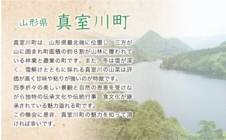 ＜令和7年産米先行受付＞ 令和8年2月中旬発送 真室川町産 はえぬき 【無洗米】 20kg （5kg×4袋）　◆YYR7H20M-M2602B