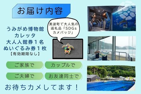 日和佐うみがめ博物館カレッタ　【入館券大人１名とSDGｓカメバッチ１つ】