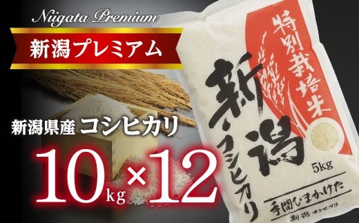【令和7年産】『定期便』新潟プレミアム 特別栽培米 コシヒカリ 白米10kg × 12か月 FC369001