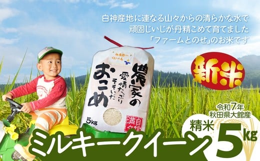 新米【令和7年産】ファームとのせ「ミルキークイーン精米5kg(5kg×1袋)」　85P9002  / 米 無洗米 5kg 白米 令和7年産 秋田県産 ミルキークイーン  みるきーくいーん おにぎり 大館 東北 秋田 小分け こわけ 大館市 5キロ 5ｷﾛ 5きろ