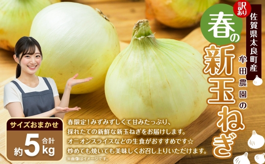 【 訳あり 】 佐賀県太良町産 ～ 牟田農園の春の新玉ねぎ 5kg （ サイズおまかせ ） 野菜 やさい 玉ねぎ 季節 春 新玉 オニオン オニオンスライス 生食 たまねぎ 国産 佐賀県産 【 2026年4月上旬～6月上旬まで順次発送予定 】