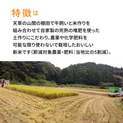 ふるさと納税 天草市 〈令和8年産〉熊本県天草産　天草コシヒカリ6kg(3kg×2)_S109-003A |  | 02