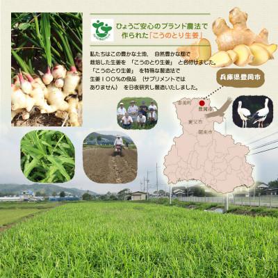 ふるさと納税 豊岡市 【兵庫県豊岡市】無添加はちみつ生姜500g×1個 |  | 02