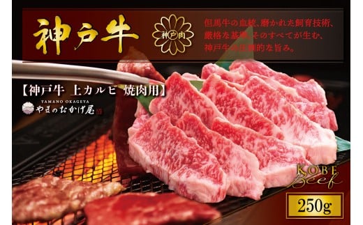 神戸牛 上カルビ 焼肉 250g AG036 神戸牛 神戸ビーフ 神戸beef 但馬牛 和牛 黒毛和牛 国産牛 牛肉 お肉 上カルビ 焼肉  バラ モモ【AS36BB53】