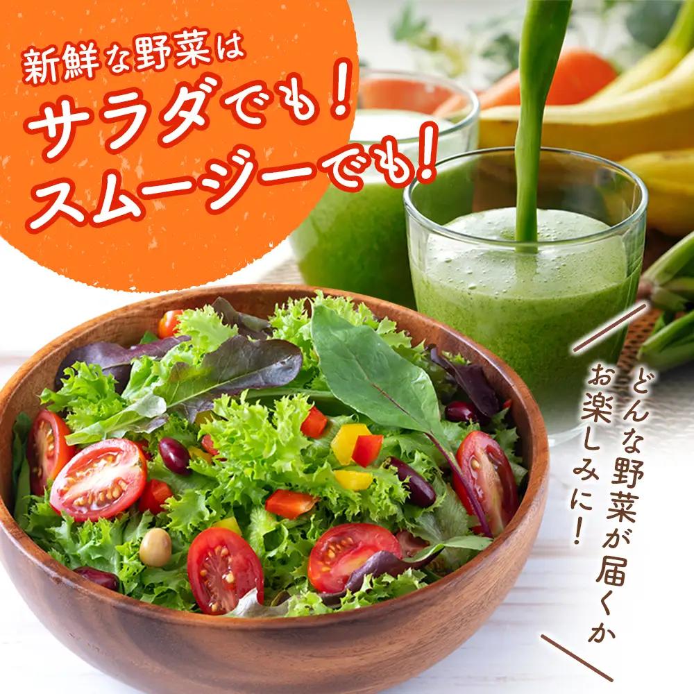 産地直送！旬の野菜・フルーツ＆野菜加工品 セット 3か月定期便 おまかせ 詰合せ 宮崎県新富町産 E215-2608