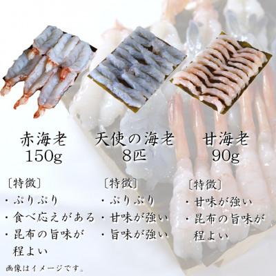 ふるさと納税 高岡市 【3種】『海老の昆布締め』(甘えび、赤海老、天使の海老)「魚との清水」富山県 高岡市 |  | 01