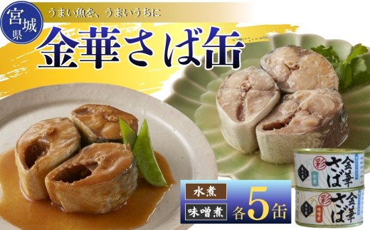 【木の屋】さば缶 食べ比べ 缶詰 食べ比べセット 10缶 (2種 各5缶) 水煮 味噌煮 鯖 さば サバ 金華さば 金華 国産 常温 おかず おつまみ 長期保存 非常食 保存食 便利 常温保存