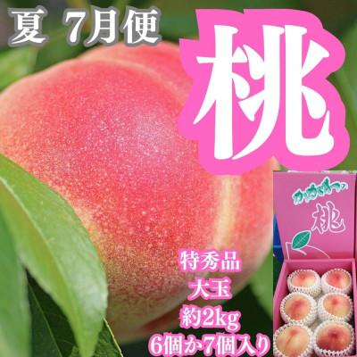 ふるさと納税 坂出市 【発送月固定定期便】四季の美味しい果物詰め 年間4回に分けてお届け!全4回 |  | 02