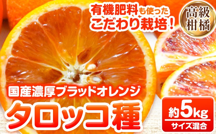 
                  【希少・高級柑橘】国産濃厚ブラッドオレンジ「タロッコ種」約5kg 厳選館 《2027年4月上旬-5月中旬出荷》 和歌山県 日高川町  みかん 柑橘 フルーツ オレンジ 
                