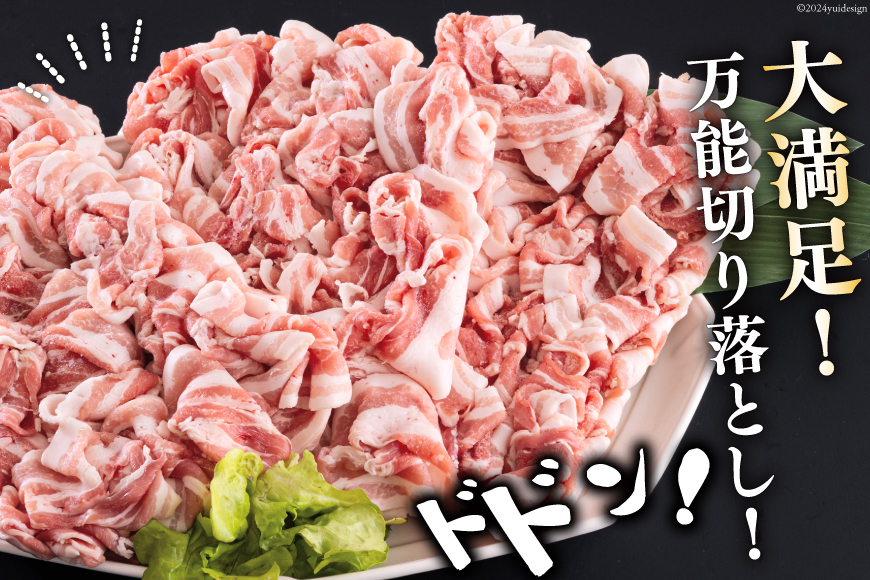 宮崎県産 豚バラ しゃぶしゃぶ 切落し 500g×3 計1.5kg [サンアグリフーズ 宮崎県 美郷町 31ba0031] 小分け 冷凍 送料無料 国産 普段使い 炒め物 丼 切り落とし 薄切り うす