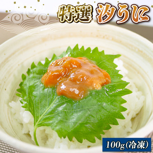 汐うに 100g 冷凍 雲丹 寿司 塩うに 潮うに 海鮮 魚貝類 魚介類 キタムラサキウニ 小分け ウニ丼 ご飯 白米 おつまみ 三陸産 岩手県 大船渡市