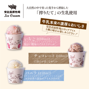 【安比高原】 レアチーズケーキ＆アイスセット ／ APPI 安比高原牧場 スイーツ ケーキ アイスクリーム