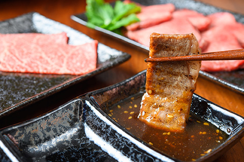 【A4～A5】博多和牛 焼肉用 500g 吉富町/株式会社MEAT PLUS [BGAB064]