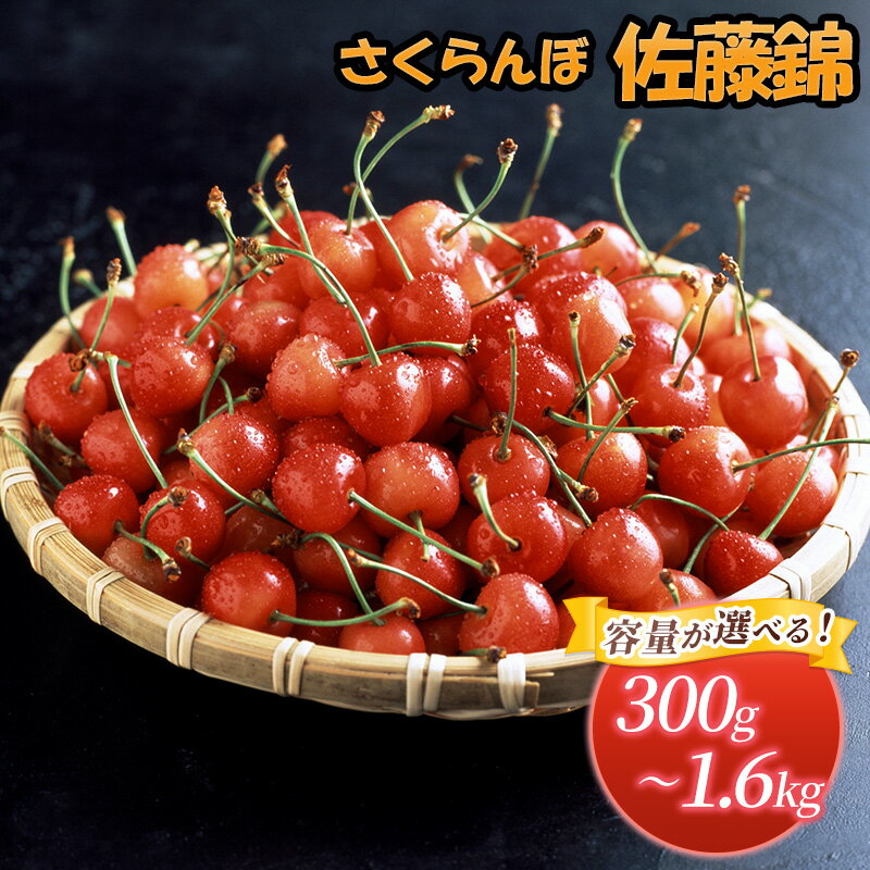 【ふるさと納税】北海道 仁木町産 さくらんぼ 佐藤錦 1.6kg（200g×8パック） 美味しい 人気 おすすめ お裾分け サクランボ チェリー フルーツ 果物 果物類 ギフト 仁木町 仁木 [JA新おたる]　お届け：2025年7月上旬～7月中旬まで