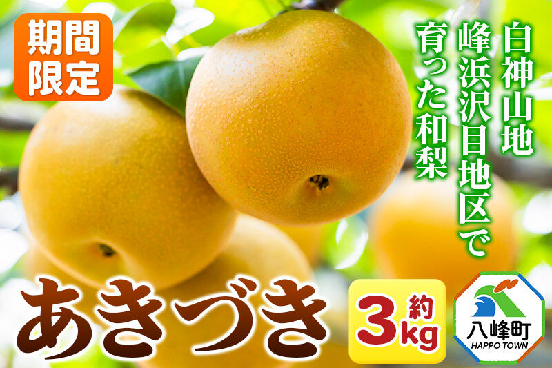 ～期間限定～白神山地峰浜沢目地区で育った和梨「あきづき」約3kg [期間限定 和梨 あきづき 梨 ナシ なし 秋田県産 甘い ジューシー 白神山地 峰浜沢目地区]