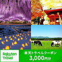 【ふるさと納税】栃木県の対象施設で使える楽天トラベルクーポン 寄付額10,000円（クーポン額3,000円）