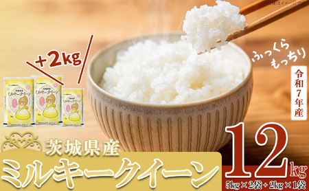 【 先行予約 】【 11月出荷分 】 令和7年産 新米 茨城県産 ミルキークイーン 12kg ( 5kg × 2袋 + 2kg × 1袋 ) 【 米 お米 白米 茨城県産 ごはん こめ 国産 ミルキークイーン ふっくら もっちり 12kg 10kg 2kg 】