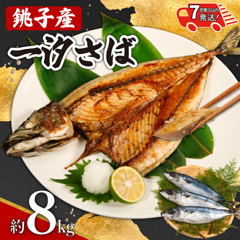 【ふるさと納税】 銚子産 一汐さば 8kg 【 スピード配送 】 銚子港 国産 さば 鯖 塩さば 塩鯖 適塩 適塩さば 人気 無添加 添加物不使用 塩焼き 焼きさば ご馳走 調理用 お取り寄せ グルメ 大容量 ふるさと納税 ふるさと納税さば 送料無料 千葉県 銚子市 エドノフーズ