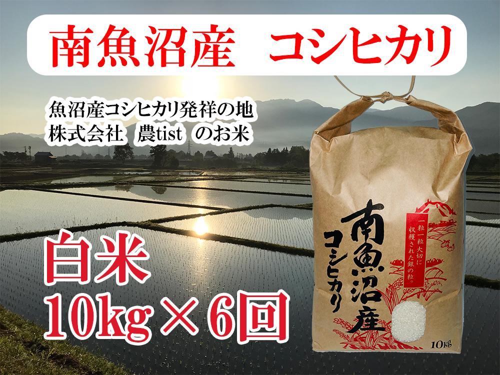 【令和8年産 新米】【定期便 南魚沼産】コシヒカリ 白米10kg×6回【定期便 銘柄米 ブランド米 精米 こしひかり コシヒカリ 魚沼産 新潟米 産地直送 お米 米 こめ コメ ご飯 御飯 ごはん】