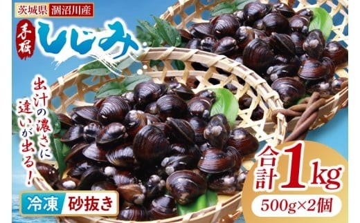 茨城県涸沼川産 だしの濃さに違いが出る！手掘しじみ（砂抜き）500g×２個（1kg）【涸沼川 しじみ 蜆 シジミ オルニチン アミノ酸 砂抜き済 味噌汁 スープ 出汁 お取り寄せ 茨城県 水戸市】（MS-7）