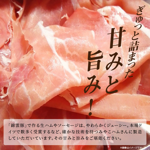 【ブランド豚肉】お米育ちの錦雲豚　絶品！生ハムとソーセージセット_FN1002
