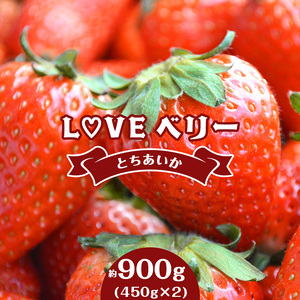 【2027年 先行予約】LOVE ベリー とちあいか 900g
