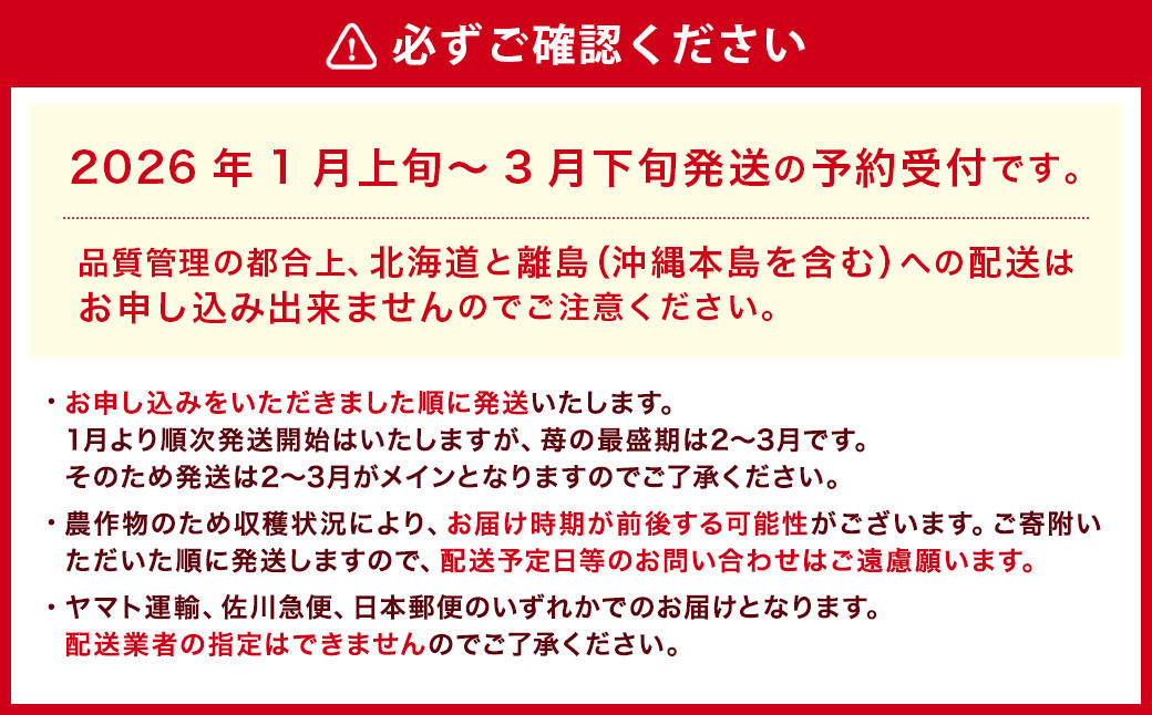 【アフター対応】あまおう 約280g×2パック