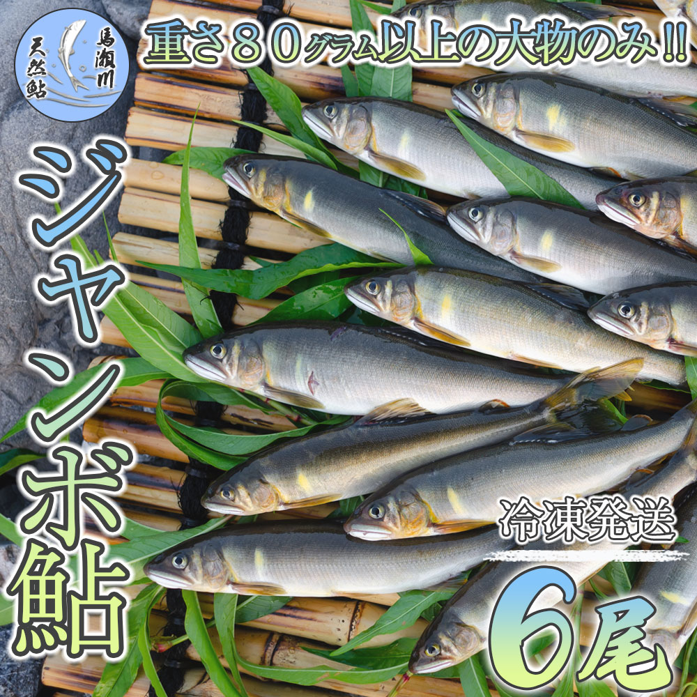 【ふるさと納税】予約受付【期間限定】（発送時期：2025年7月中旬〜12月頃まで）【ジャンボ鮎】清流が育む天然の馬瀬川鮎 6尾（重さ80g以上） 冷凍　あゆ バーベキュー 馬瀬川 冷凍 下呂温泉 おすすめ アユ アウトドア 馬瀬 飛騨 22000円 岐阜県 下呂市