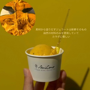 季節の天然素材ジェラート【AmiCono JIYUGAOKA】お買い物に使える3,000円分チケット（ふるさとチケット） アイス デザート 氷菓子 スイーツ お菓子 お買物券 アミコーノ 東京 世田谷