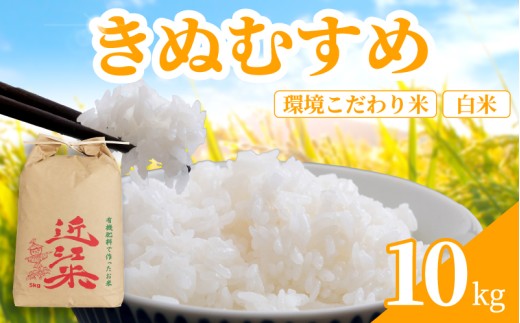 【 新米予約 】 新米 令和8年産 きぬむすめ 10kg 白米 米 R8 年産 キヌムスメ 2026年産 国産 農家直送 環境こだわり お試し用 単品 小分け 単品 お米 こめ おこめ ライス コメ 精米 おいしい 産地直送 人気 おすすめ 10キロ kome okome 2026年産 送料無料 滋賀県 日野町 育農舎 [IN051_R8]