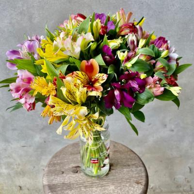 ふるさと納税 飯島町 アルストロメリア 切花(色・品種おまかせ) 40センチ20本 |  | 01