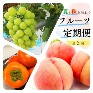 【7・8・10月 全3回】紀州和歌山産旬のフルーツセット（桃・シャインマスカット・ひらたねなし柿）定期便 【魚鶴商店】【UT66】
