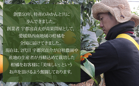 極早生みかん　ご家庭用　４kg