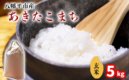 新米 先行予約 【令和8年産】 あきたこまち 玄米 5kg 《2026年11月中旬より順次発送開始予定》 ／ げんまい 岩手県産 中沢農産