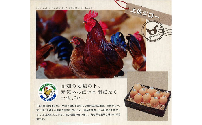 コミベーカリー 土佐のロールセット （2本入） / 高知 土佐 コミ パン ロールケーキ ケーキ スイーツ デザート セット 土佐ジロー ゆず はちみつ 生クリーム 【株式会社こみベーカリー】 [AT