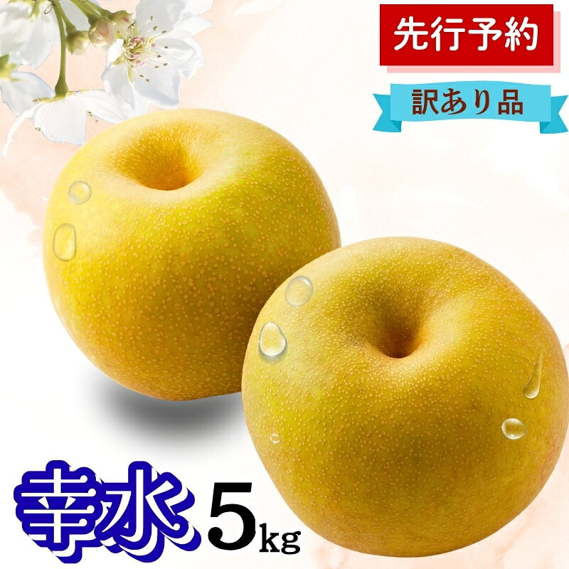 【ふるさと納税】幸水 5kg 訳あり(12～14個入) 秋田県 能代市 梨 なし ナシ 果物 フルーツ 厳選 訳あり 甘い 果実 果汁　お届け：2026年9月10日～9月末まで
