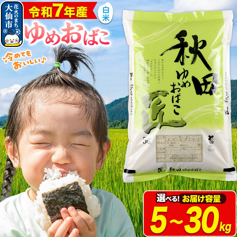 【ふるさと納税】米【白米】秋田県産 ゆめおばこ 精米 令和7年産 大仙市【選べる容量】小分け