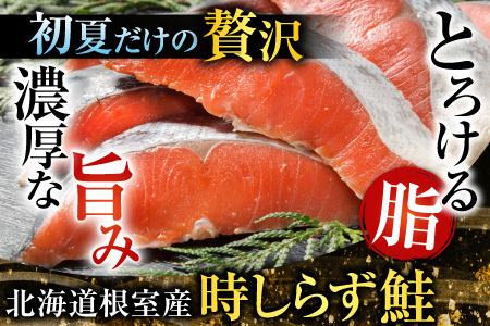 【北海道根室産】時しらず鮭600g×1P・いくら醤油漬け50g×2P B-42106