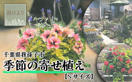 届いてすぐに飾れる 季節の寄せ植え Sサイズ《30日以内に出荷予定(土日祝除く)》