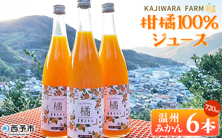 ＜柑橘100％ジュース （温州みかん6本）＞ 温州みかん ストレートジュース 果汁100％ ミカン 蜜柑 果物 柑橘 かじわらFARM 愛媛県 西予市【常温】『1か月以内に順次出荷予定』 MKF0001
