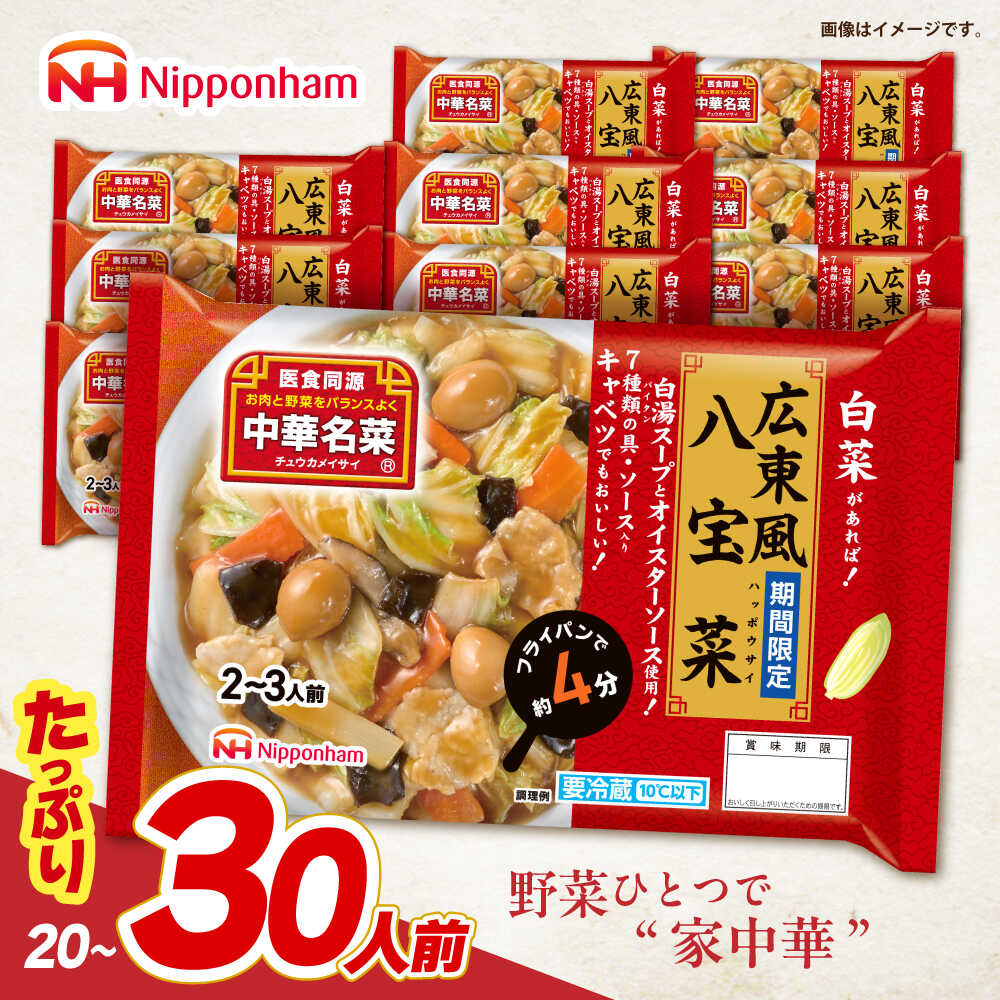 【ふるさと納税】＜選べる配送月＞中華名菜 広東風八宝菜 (2〜3人前) 10個セット / 中華 八宝菜 惣菜 冷蔵 簡単調理 晩御飯 フライパン調理 ワンパンメニュー / 諫早市 / 日本ハムマーケティング株式会社[AHAL017]