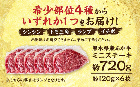熊本 あか牛 ミニステーキ 約720g（約120g×6枚）【合同会社 たべたせいか】[AYCB062]