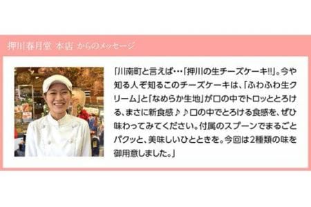 『押川春月堂本店』とろける生チーズケーキセット（チョコ×２個）【スイーツ ケーキ チーズケーキ チョコ 洋菓子ケーキ スプーンでケーキ  おまけつきケーキ】
