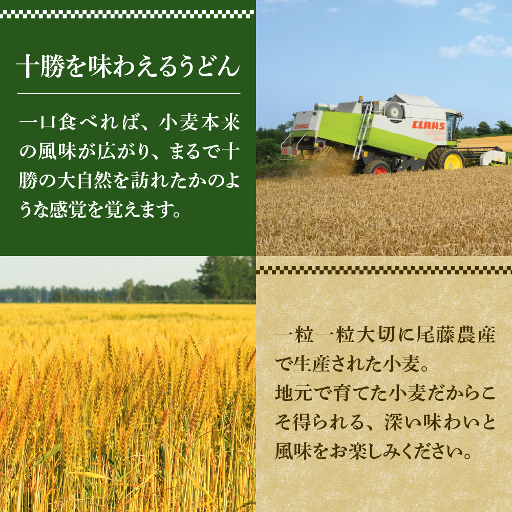 北海道十勝芽室町 BITO LABO十勝のかおりうどん　250g×6 me004-003c