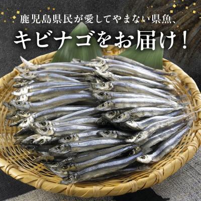 ふるさと納税 南九州市 鹿児島県産キビナゴ丸ごと冷凍1.5kg 008-65 |  | 01