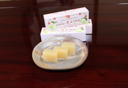 小田原老舗和菓子店の手づくり小田原梅の生ようかん【 お菓子 スイーツ 神奈川県 小田原市 】