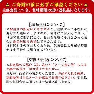 p5-014 【数量限定・訳あり】志布志湾ほうれん草(200g×5袋 合計1kg)