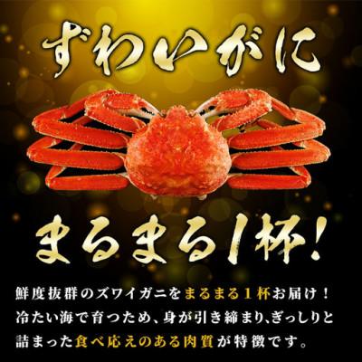 ふるさと納税 門川町 ボイルズワイガニ(2杯)　カニフレーク付き |  | 01