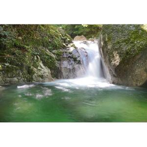 酒蔵サイダー早川酒造　鈴鹿セブンマウンテンの伏流水から造った贅沢なサイダー12本【1644749】